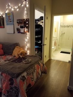 Apartment in New Jersey Jersey city for $500 per month