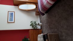 Double room in Devon Torquay for £100 per week