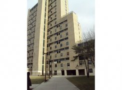Apartment offered in Bronx New York United States for $1261 p/m
