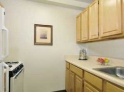 Apartment offered in Bronx New York United States for $1019 p/m