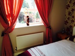 Multiple rooms in Somerset Taunton for £470 per month