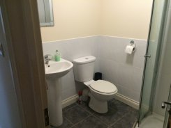 Double room in Devon Paignton for £320 per month