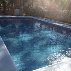 Single room in Florida Tallahassee for $450 per month